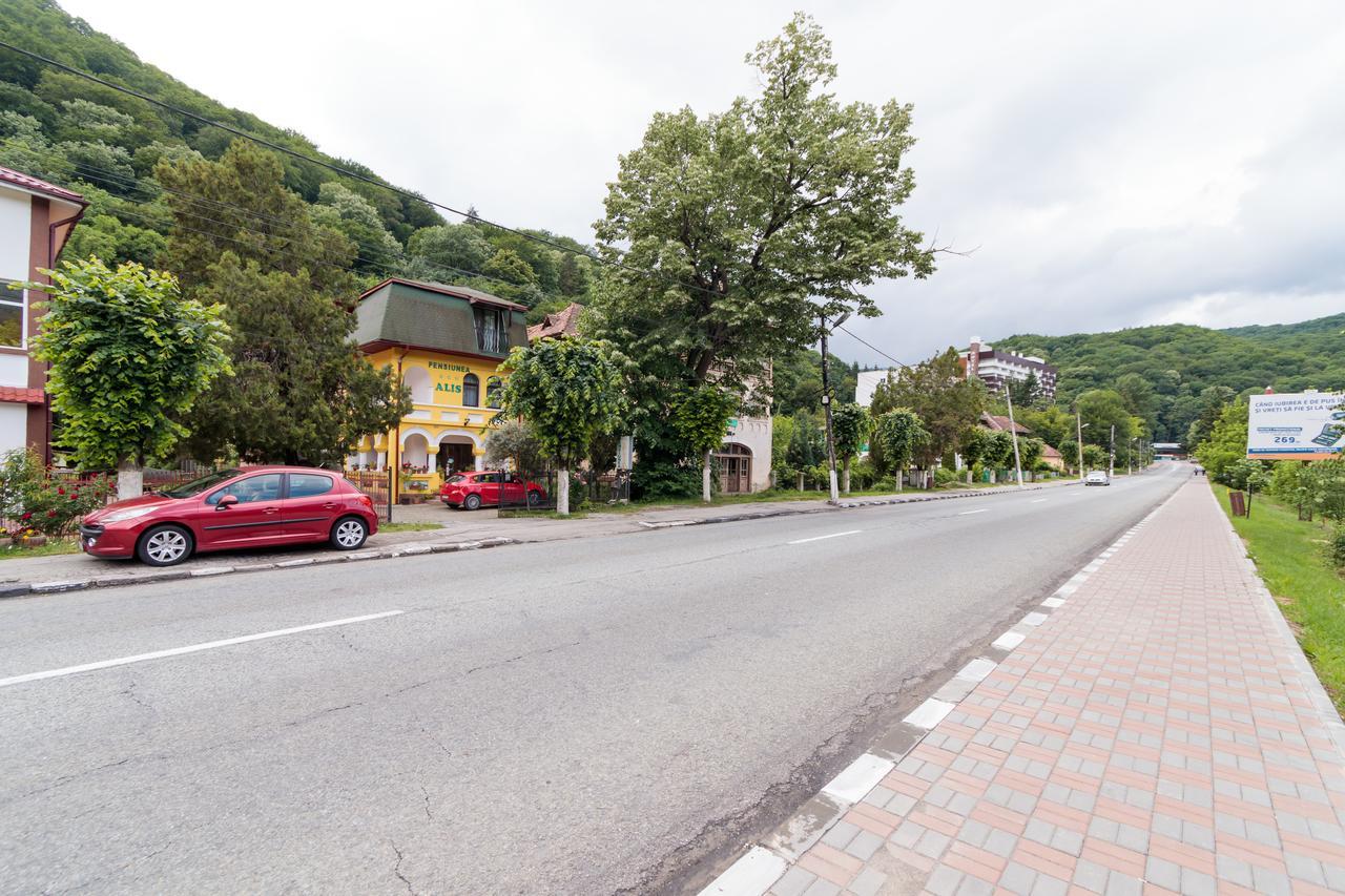 Pensiunea Alis Călimăneşti エクステリア 写真